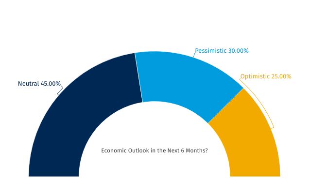 Ryerson Economic Outlook Responses